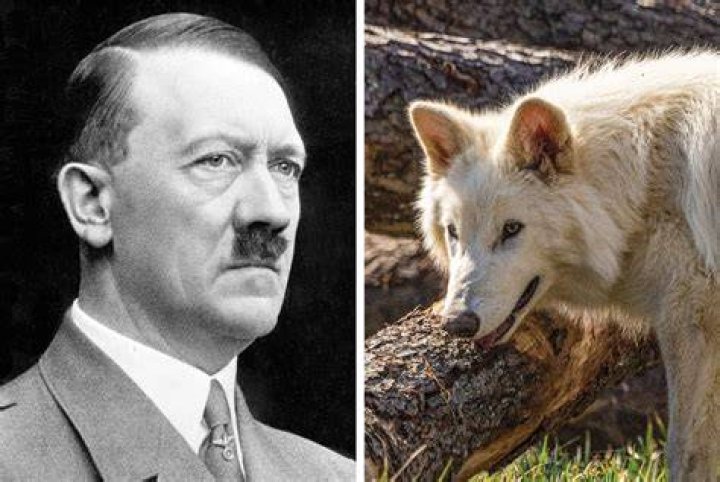 Adolt Hitler At Wolf's Lair