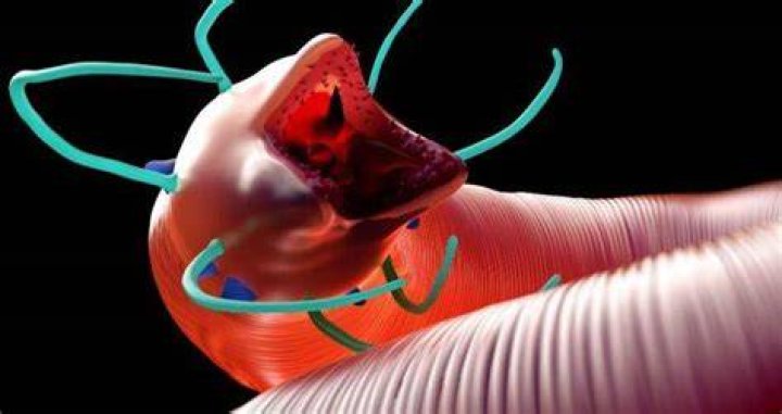 Ancient Reanimated Worms