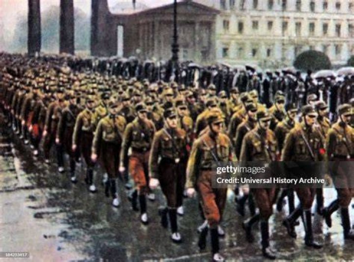 Brownshirts In Berlin
