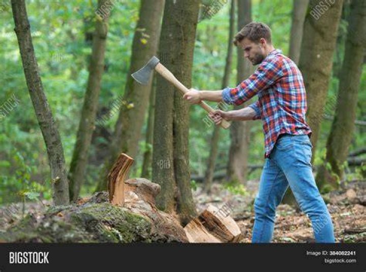 Chopping Wood