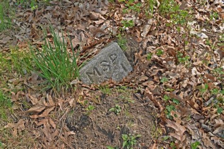 Common Grave Number One
