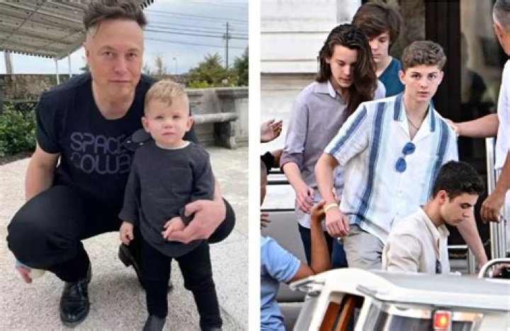 Griffin Musk is best known for being son of Elon Musk