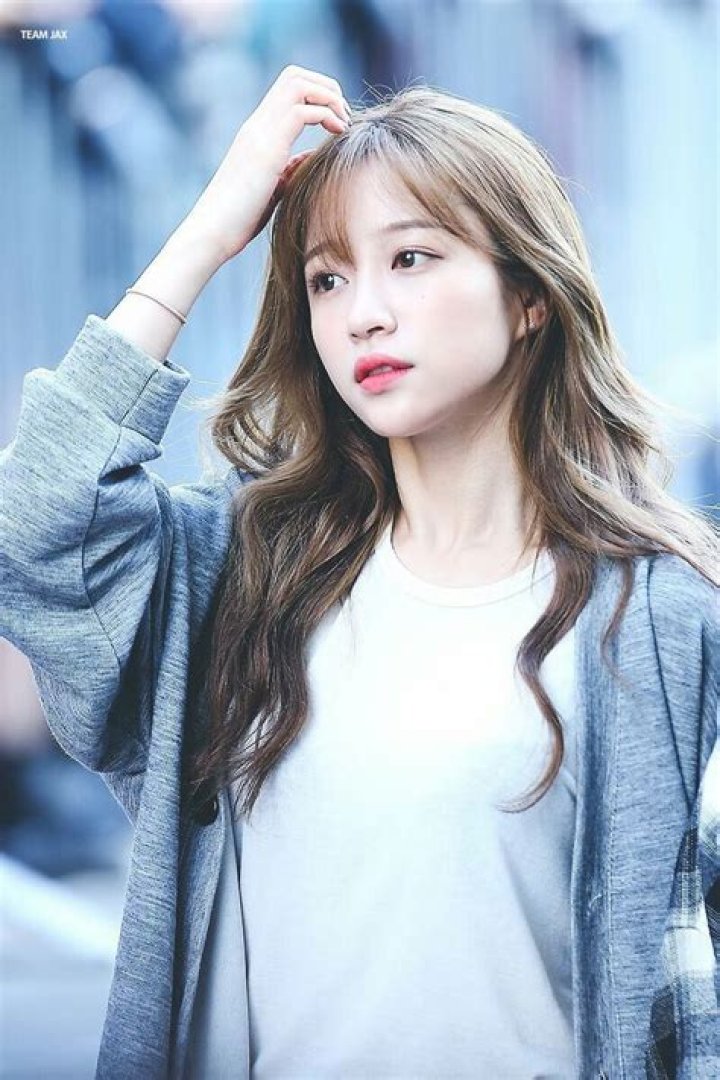 Hani's estimated Instagram earning
