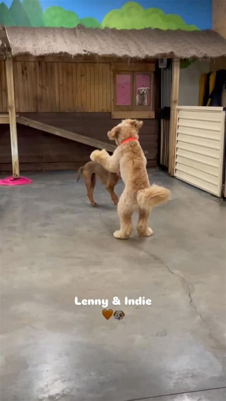 Lenny and his bestfriend Eleanor