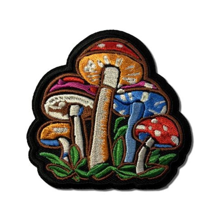 Magic Mushrooms Patch