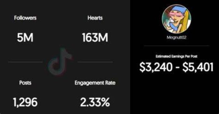 Megan estimated TikTok earning