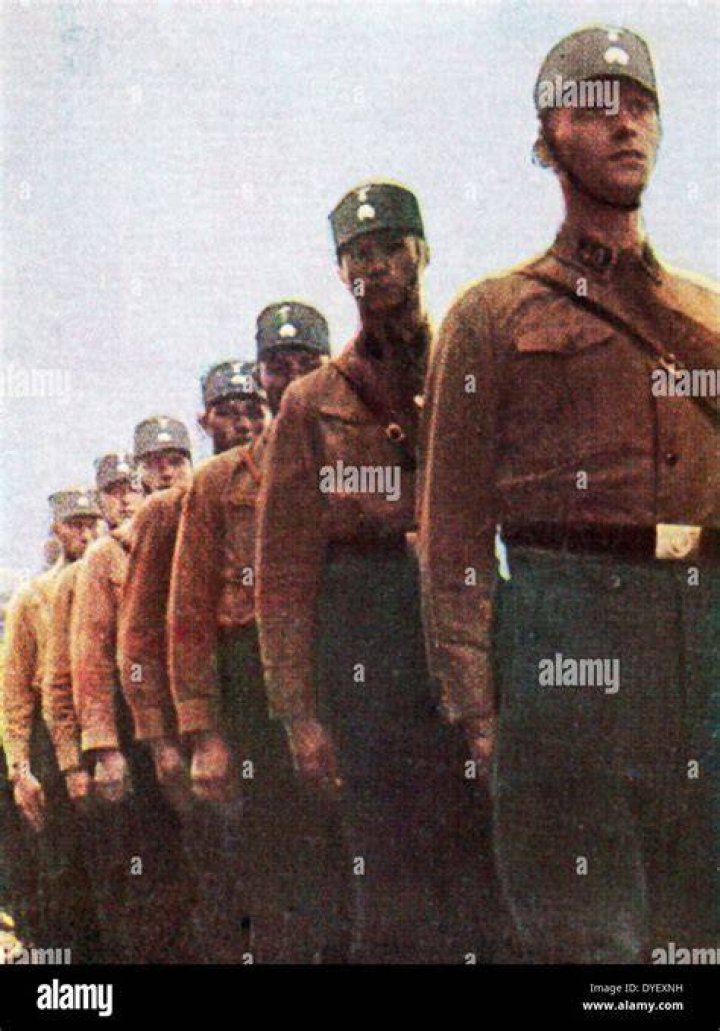 Nazi Brownshirts