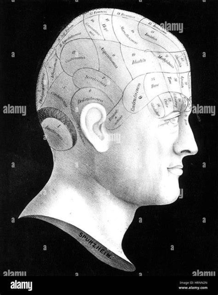 Phrenology