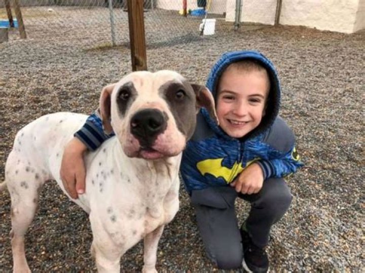 Roman Mcconn With White Dog