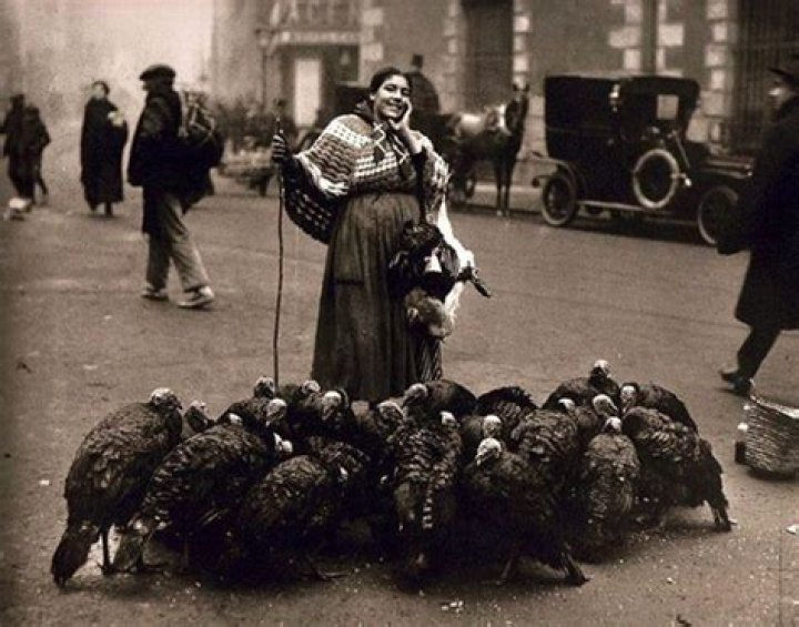 Turkeys In Madrid