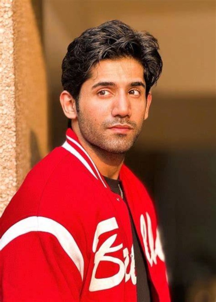 Varun Sood graduated from Sri Venkateswara College, Delhi University