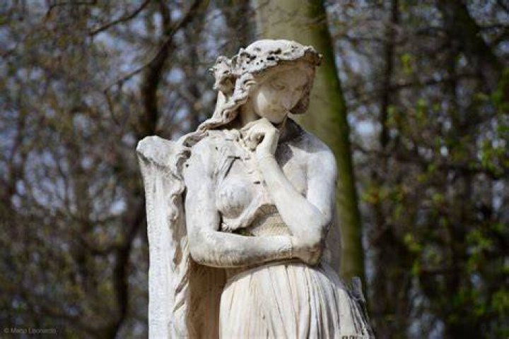 Veleda Paris