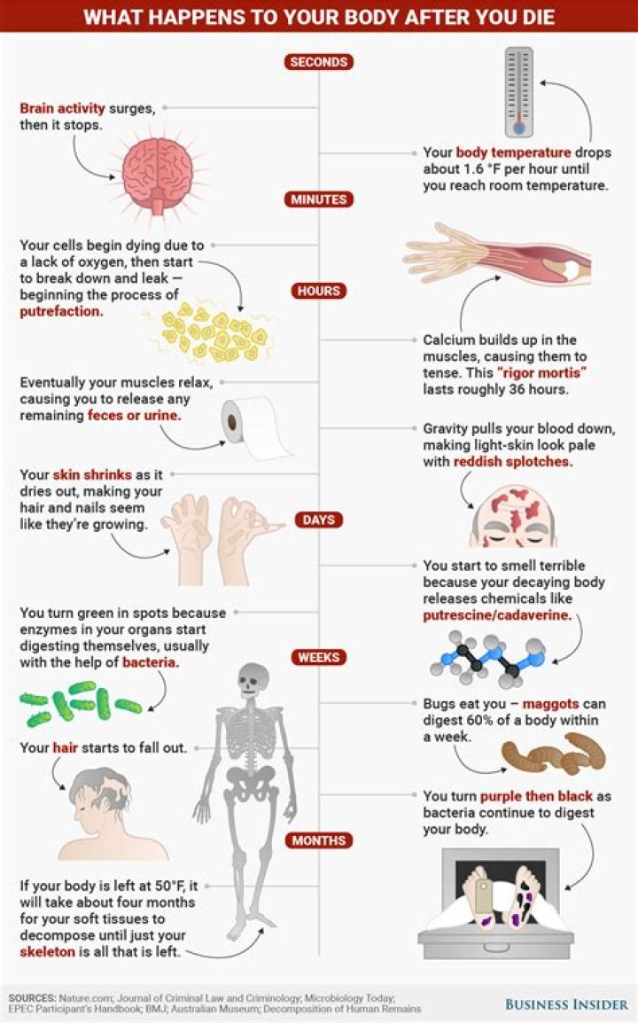 What Happens When You Die