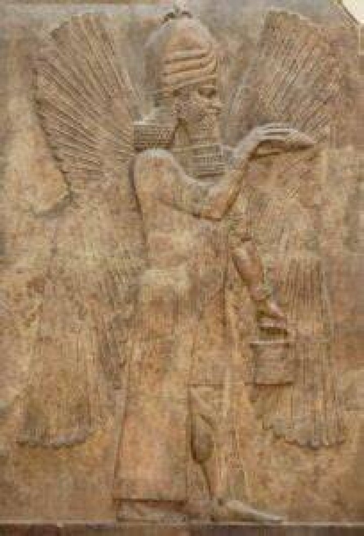 Winged Jinn With Pollen Bucket